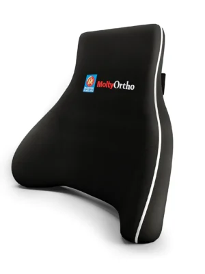 Molty Lumbar Support Cushion