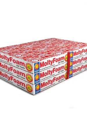 Molty Foam Fold A Bed