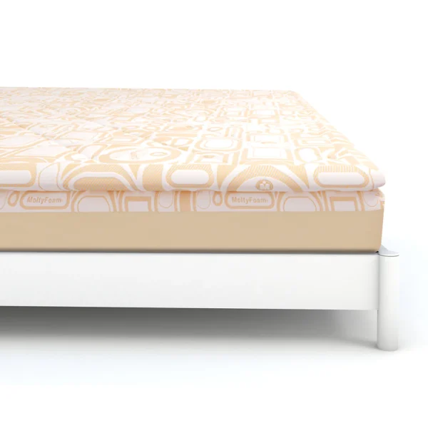 Untitled-1_a3a8c267-93c1-42db-abd1-eb0a64dfb4f1 Molty Plus